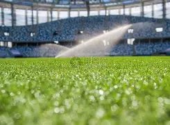 耻辱榜单,排名,前四稳居不,皇冠体育app下载,皇冠体育官网,澳门皇冠体育,bet皇冠体育在线